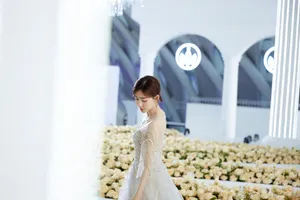 王丽坤清新优雅活动照图片_4