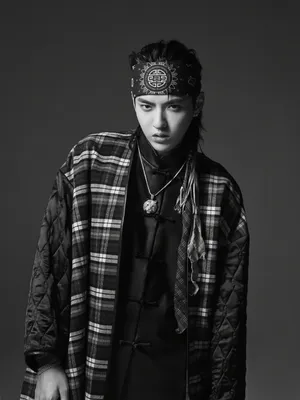吴亦凡时尚帅气演唱会写真图片_6