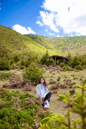 angelababy清新休闲写真图片_3