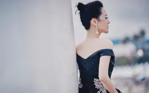 许晴深V纱裙性感写真图片_3