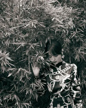 辛芷蕾复古静谧写真图片_4