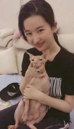 刘亦菲撸猫居家私房照图片