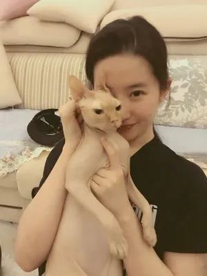 刘亦菲撸猫居家私房照图片_2