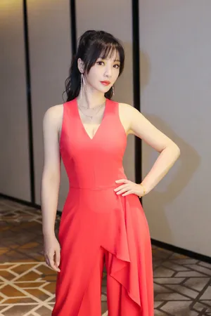 柳岩红裙性感活动写真图片_5