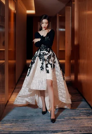 刘凡菲深V礼服性感图片_2