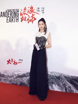 屈菁菁《流浪地球》首映礼写真图片_2