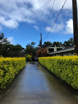 何美璇旅拍图片_3