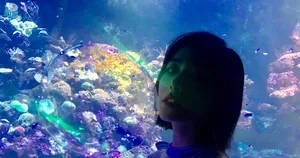 刘美彤可爱生活照图片_3
