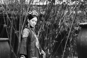 陈昊宇《如懿传》舒妃角色写真图片