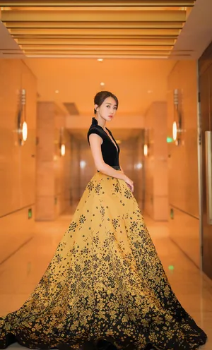 林鹏性感深v礼服活动照图片_2