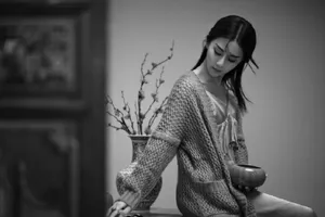 刘颖伦复古典雅写真图片_2