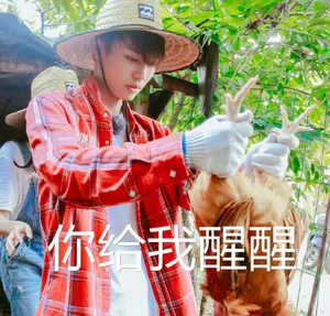林彦俊野生厨房表情包图片_2