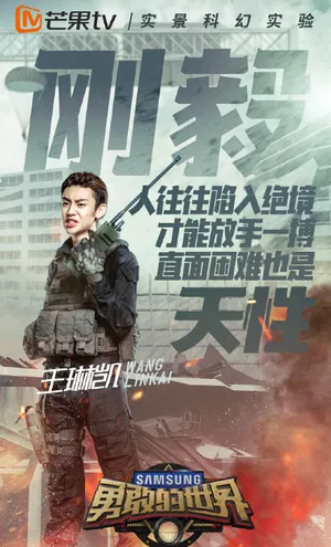 小鬼王琳凯《勇敢的世界》图片_2