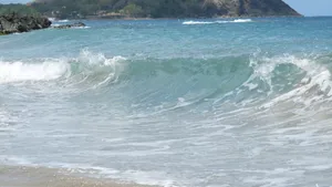 海浪浪花图片_5