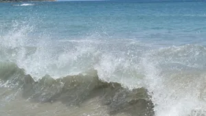 海浪浪花图片_7