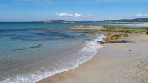 海浪浪花图片_9