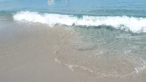 海浪浪花图片_10