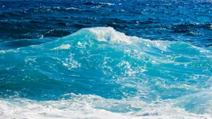 海浪浪花图片_11