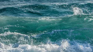 海浪浪花图片_12