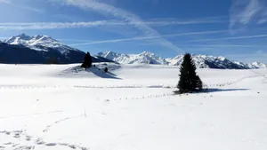 高清白色雪景图片_2