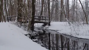 高清白色雪景图片_3