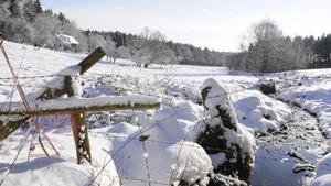 高清白色雪景图片_4