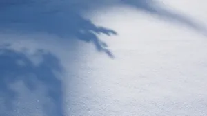高清白色雪景图片_5