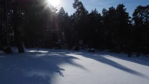 高清白色雪景图片_6