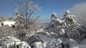 高清白色雪景图片_7