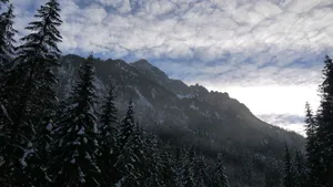 高清白色雪景图片_8