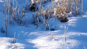 高清白色雪景图片_9