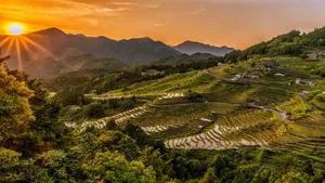唯美梯田风景图片_2