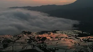 唯美梯田风景图片_5