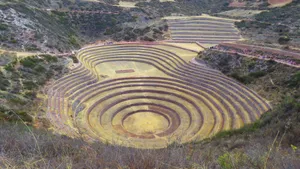 唯美梯田风景图片_7