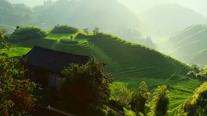 唯美梯田风景图片_9