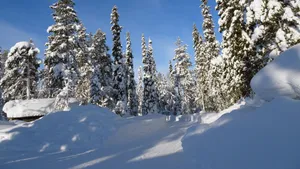 拉普兰德冬季冰雪风景图片_4
