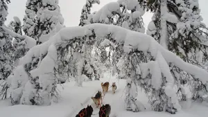 拉普兰德冬季冰雪风景图片_5