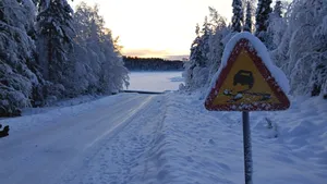 拉普兰德冬季冰雪风景图片_9