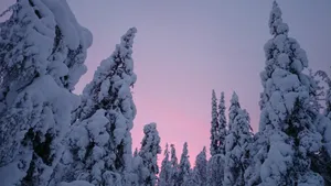 拉普兰德冬季冰雪风景图片_13