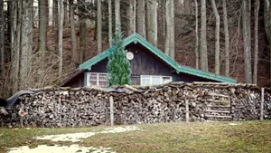 森林里寂静的小木屋风景图片_5