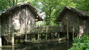 森林里寂静的小木屋风景图片_11
