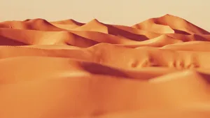 高清沙漠图片大全_5