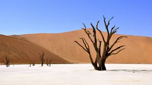 沙漠风景图片大全_3