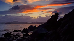 海边滩涂风景图片_6