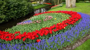 私家花园图片大全_2