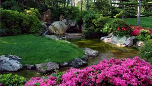 私家花园图片大全_4