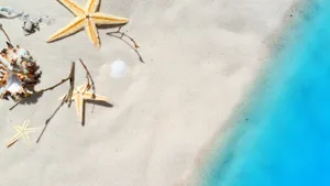 沙滩海星壁纸图片大全_3