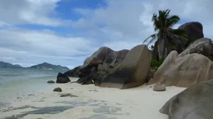 非洲塞舌尔群岛风景图片_6