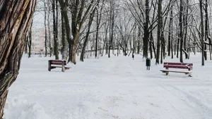 冬季公园白雪图片大全_2