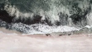 广阔的海滩图片_4